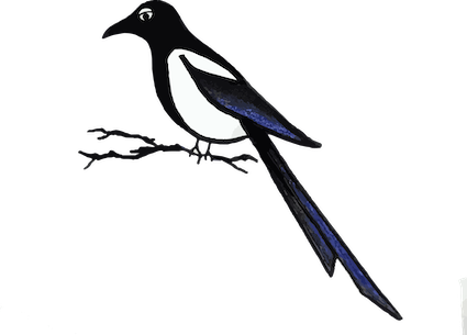 A stylized magpie sits on a tree branch and faces left. The magpie looks at you as if to say, "Stop following me, peasant."